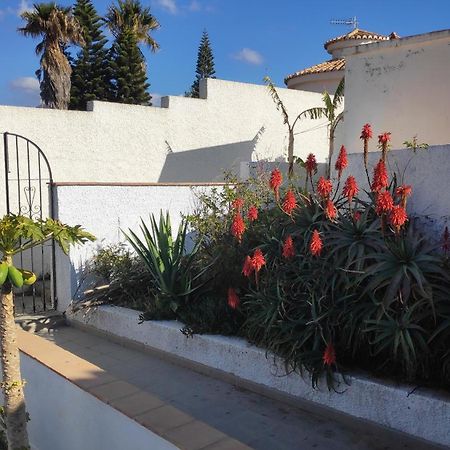 A Little Paradise With Super Views In Almuñécar Eksteriør bilde